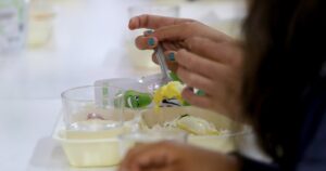 Cámara despachó al Senado proyecto que incorpora alimentación saludable y vegana en menú Junaeb