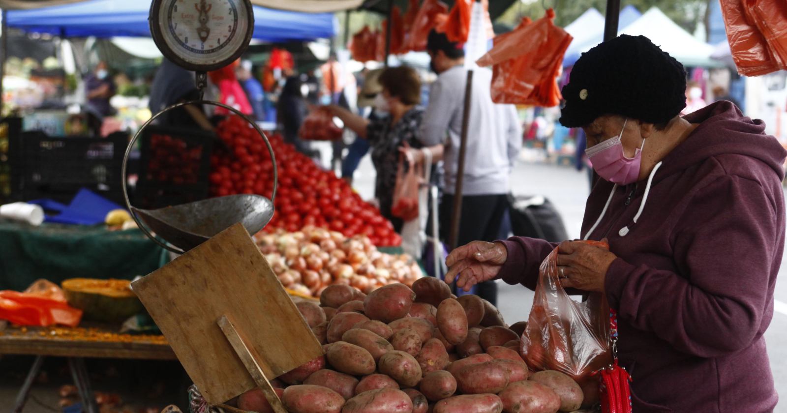 Contraloría bono Pymes feriantes