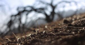 Déficit de lluvias alcanza el 60% en la Región Metropolitana