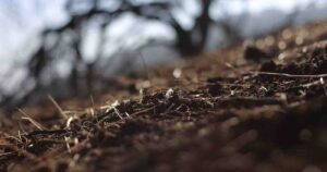 Cambio Climático: Aguas Andinas indicó estar trabajando en medidas que permitan contar con nuevas fuentes