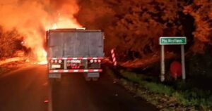 Ataque incendiario deja cuatro camiones afectados en cercanías de Angol