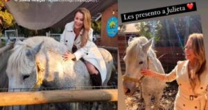 Acusan a Cathy Barriga de querer llevarse una yegua tras salida de Maipú