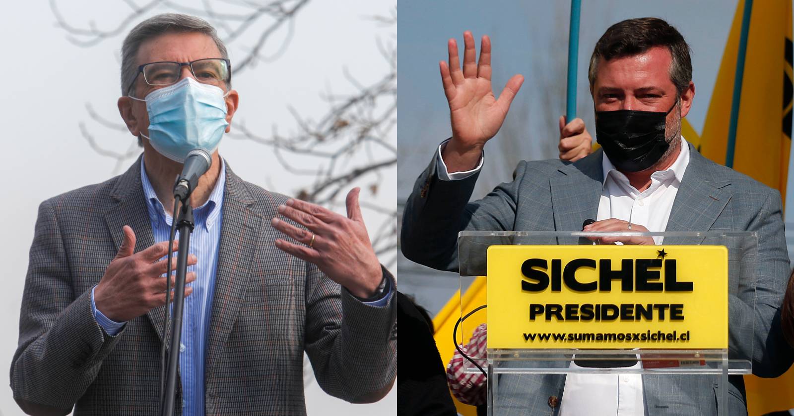 Pulso Ciudadano Lavín Sichel