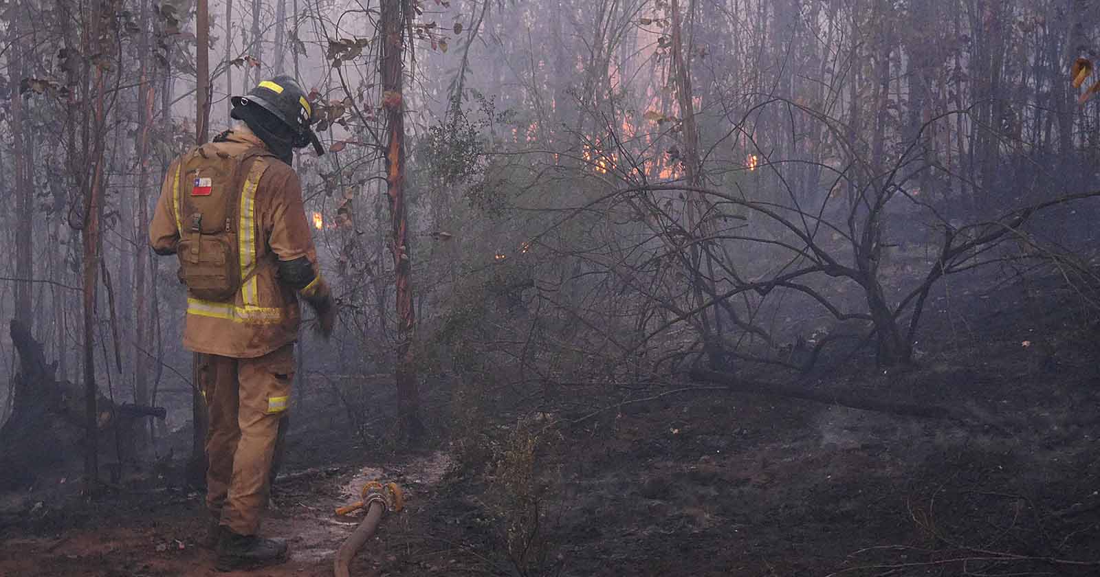 Isla Pascua incendio forestal