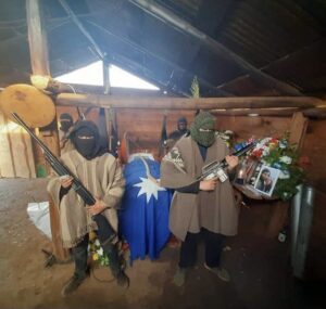 Velorio de Pablo Marchant: Gobierno se querella por ley de control de armas