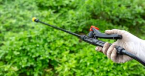 La importancia de las plagas en la agricultura y cómo combatirlas