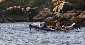 Cámara aprueba proyecto para incluir a pescadores artesanales en Bono Pyme
