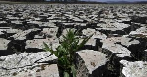 Experto en sequía advierte: Chile debe ser declarado en 