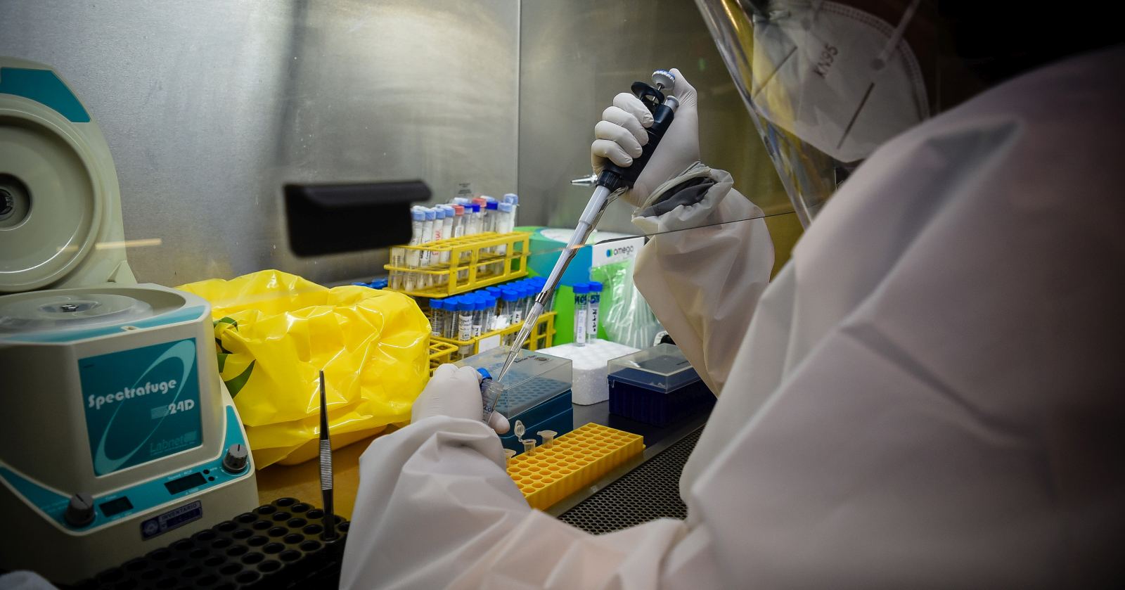 variante gamma Chile