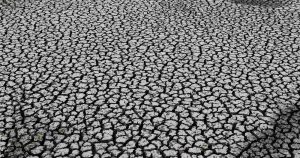 Entre el ruido y el silencio ensordecedor