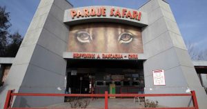 Seremi del Trabajo suspende indefinidamente al Parque Safari por muerte de trabajadora
