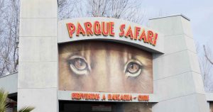 Pololo de trabajadora fallecida en Parque Safari: 