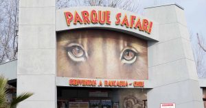 Amiga de joven fallecida en Parque Safari: 