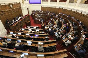 Convención Constitucional establece su propia definición de 