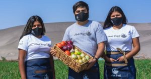 Cooperativa Norte Fresco: jóvenes innovan la pequeña agricultura de Arica