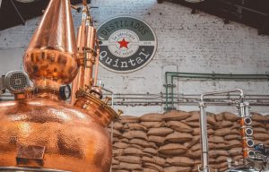 Emprendedoras hacen frente a la pandemia y mejoran sus ventas en 45%