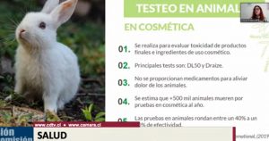 Comisión de Salud aprobó prohibir experimentación cosmética en animales