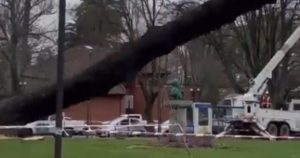 Talan árbol y destruyen por error busto de Simón Bolivar en Concepción