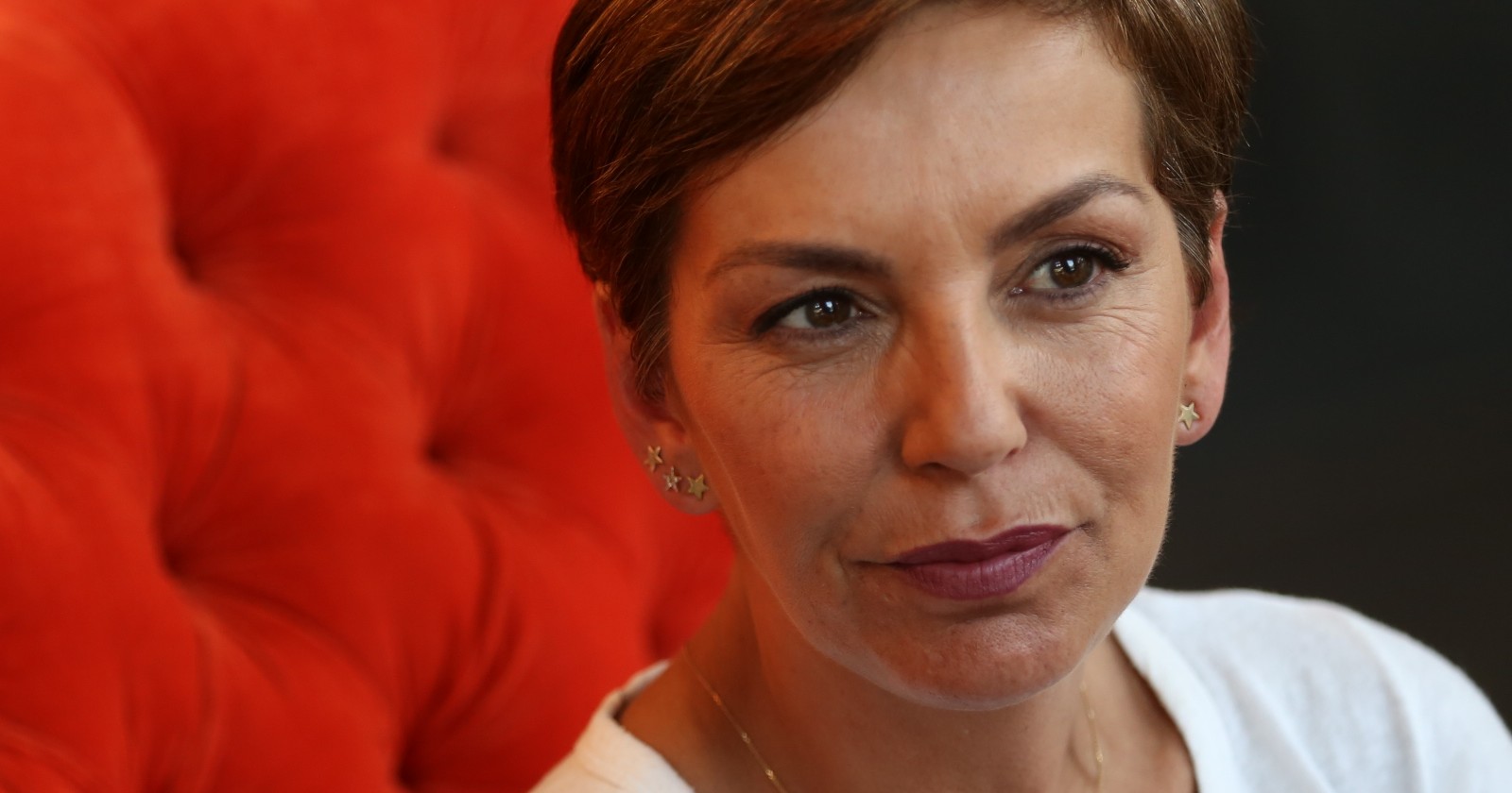 francisca garcía huidobro mega