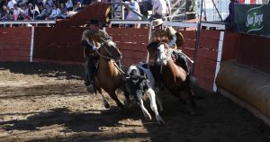 Apruebo Dignidad propone redirigir fondos del rodeo para financiar recuperación económica