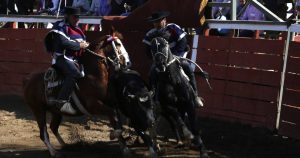 Boric define su postura sobre el rodeo: 