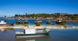 Comisiones unidas ratificaron proyecto que declara nulidad de Ley de Pesca
