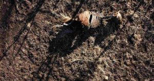 Cuestionan el rol de las empresas en la crisis ambiental en Chile