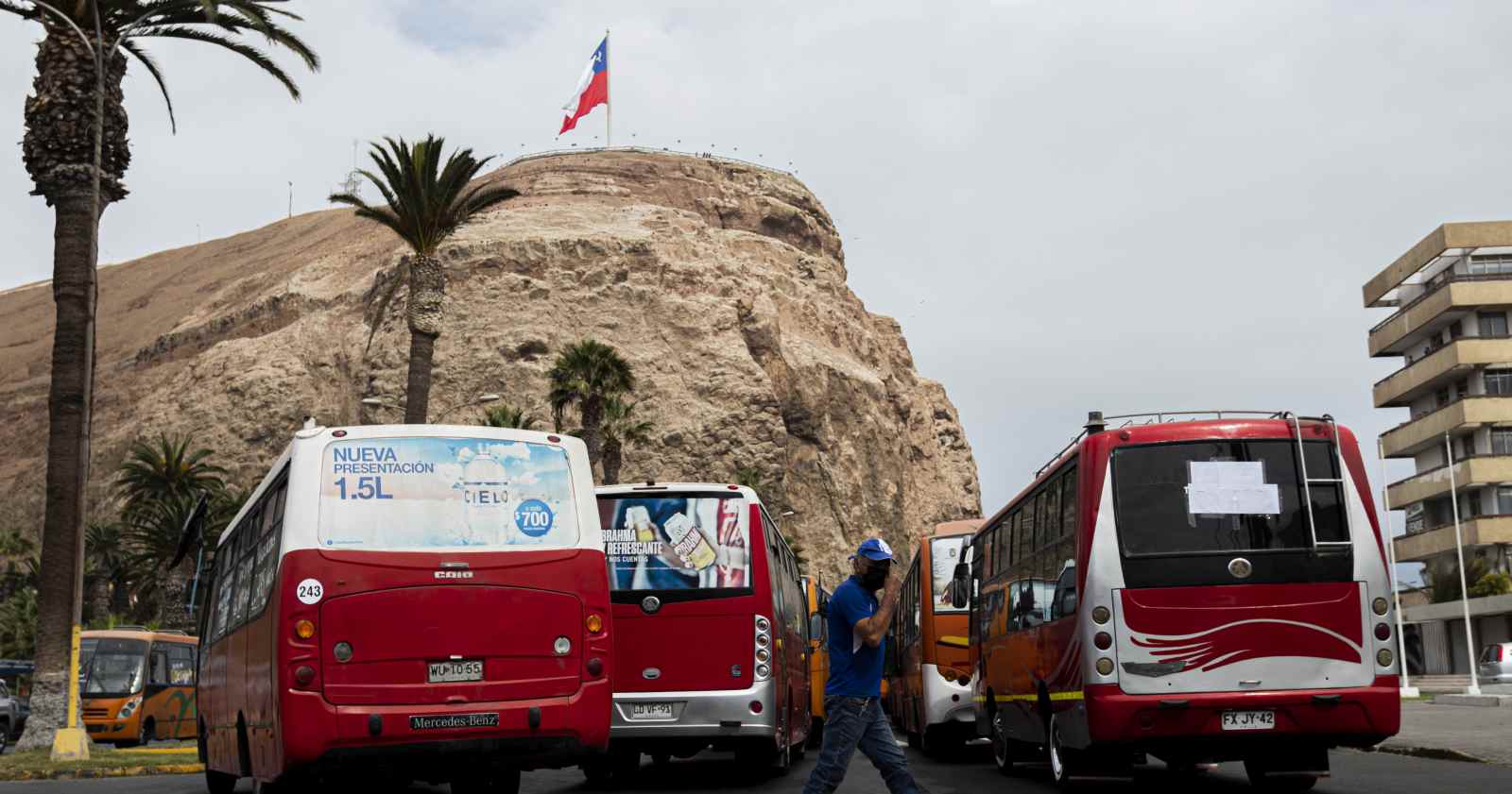 gobernador Arica