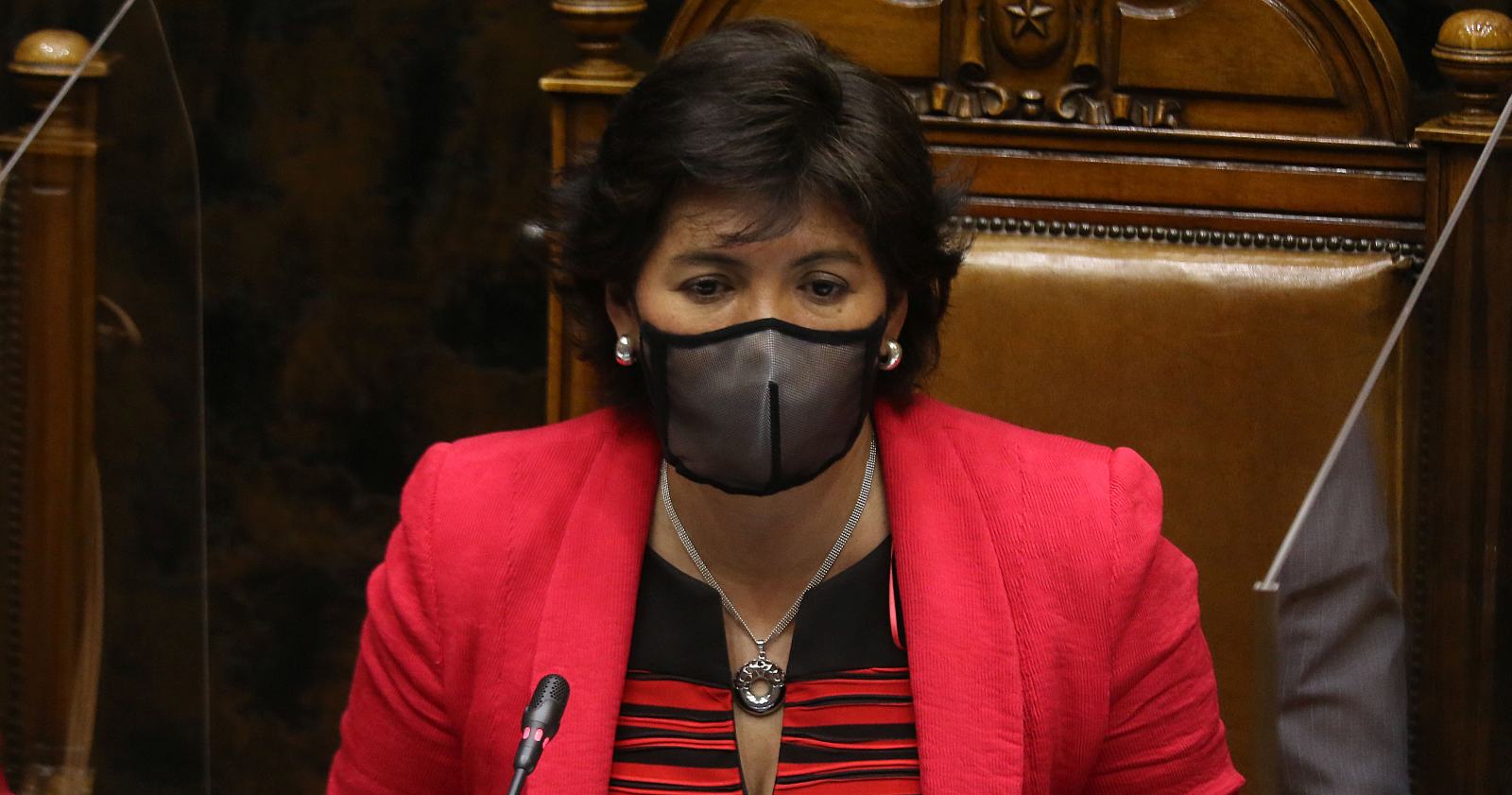 Provoste macrozona sur