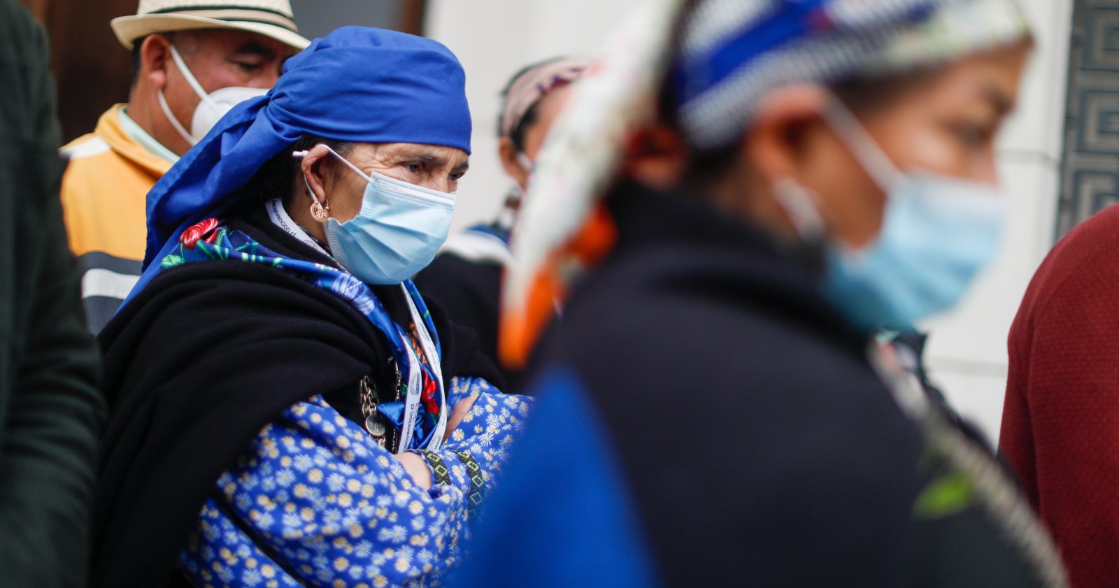 mapuche Linconao