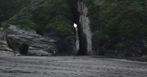 Delegado Presidencial confirma 