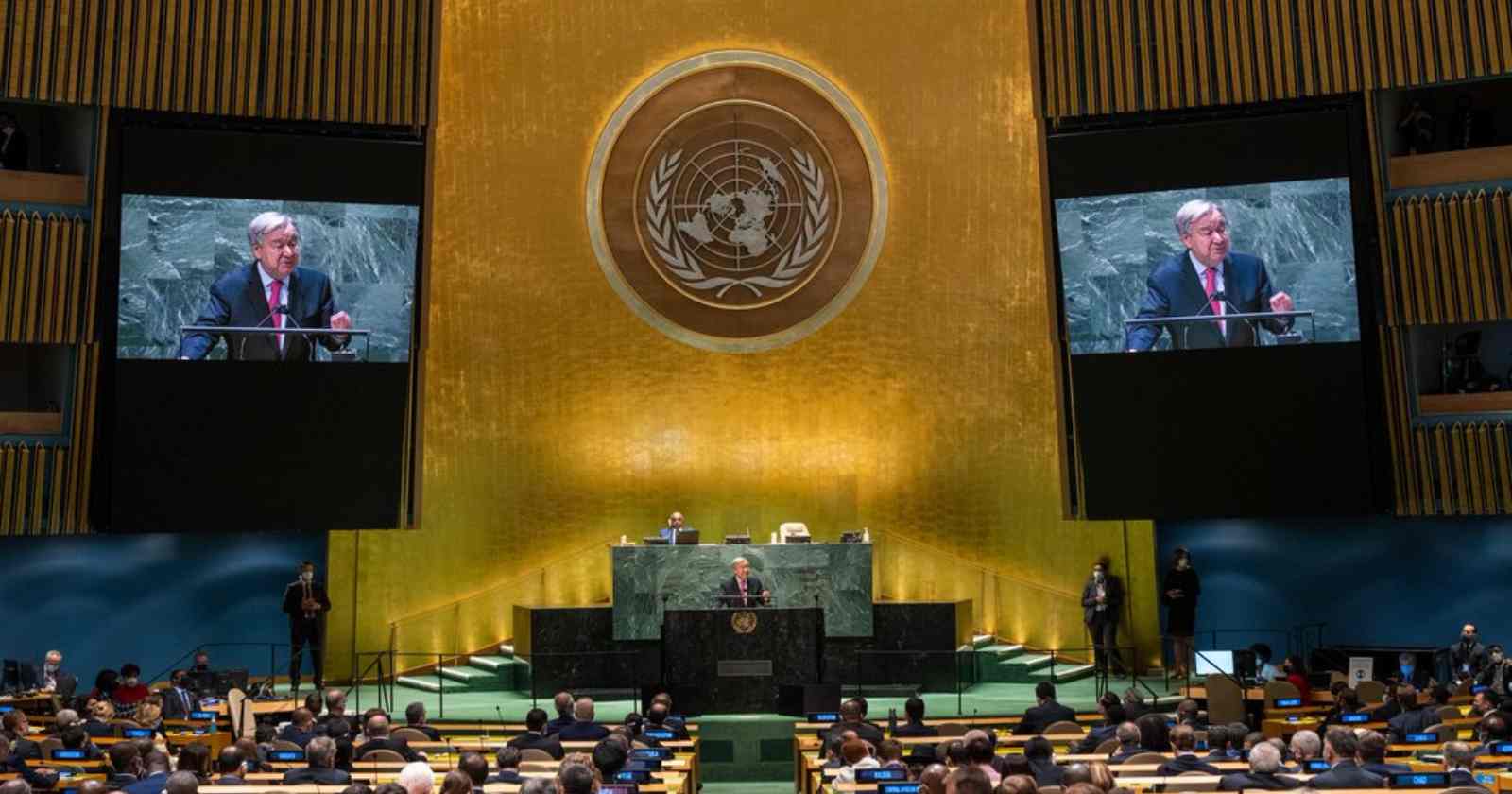 Talibanes ONU