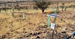 La innovación se hace presente en el Programa Emerge con sistema de riego eficiente y servicios de robótica y automatización industrial