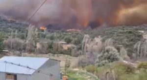 Incendio forestal en Tiltil deja 12 viviendas consumidas y ordenan evacuación
