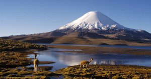 Unesco amplió superficie de la Reserva de la Biósfera Lauca