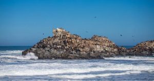 Armada continúa con la búsqueda de desaparecidos en la Iglesia de Piedra en Cobquecura