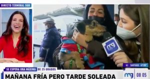 VIDEO - El chascarro que sufrió notera del Mucho Gusto al intentar entrevistar a un perro