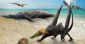 Identifican enigmático 