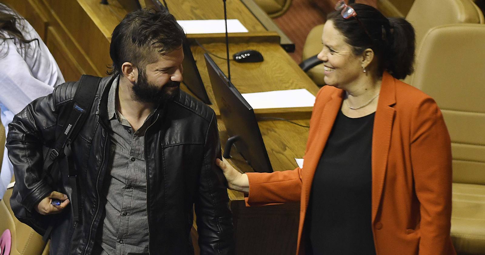 Maya Fernández Boric