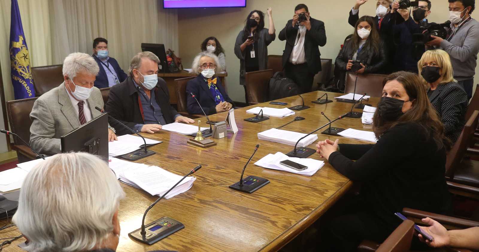 Maya Fernández acusación Piñera