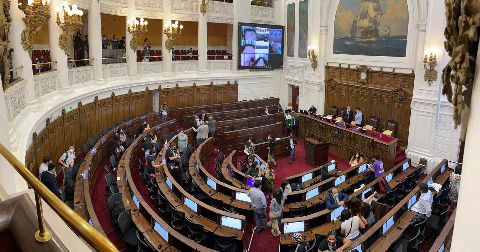 plataforma constituyentes