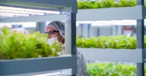 Startup chilena AgroUrbana cierra ronda de financiamiento por US$ 4 millones