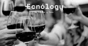 Ecnólogy: La nueva plataforma de Viña Concha y Toro para acercar el vino a sus consumidores