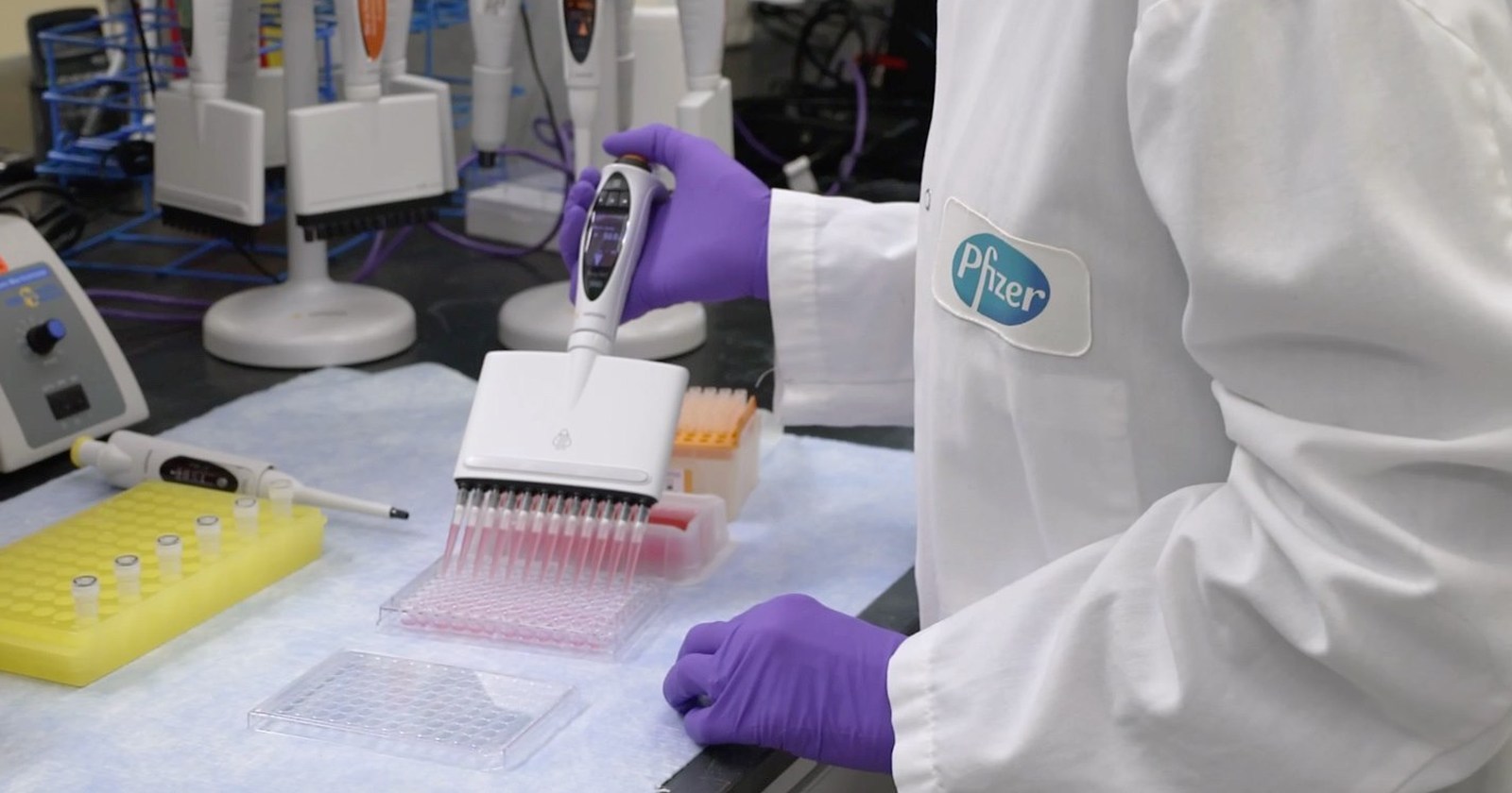 Pfizer píldora COVID-19