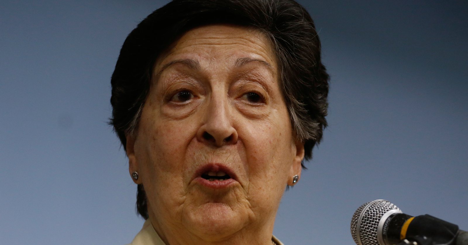 Carmen Frei