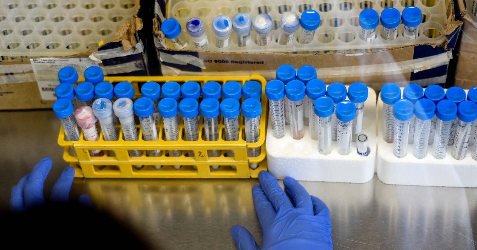 variante ómicron en Estados Unidos  