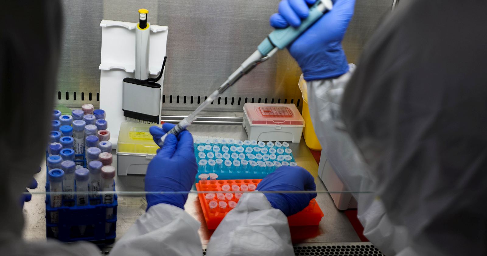 OMS variante ómicron