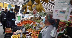 Transformación de los sistemas agroalimentarios y el rol del sector privado