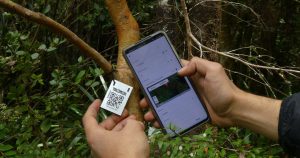 Nueve innovaciones lideradas por jóvenes son seleccionadas en convocatoria FIA 2021