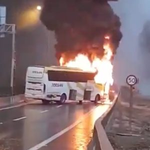 bus lota